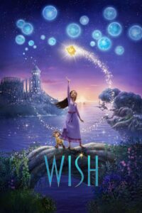Read more about the article The Wish : (2024)