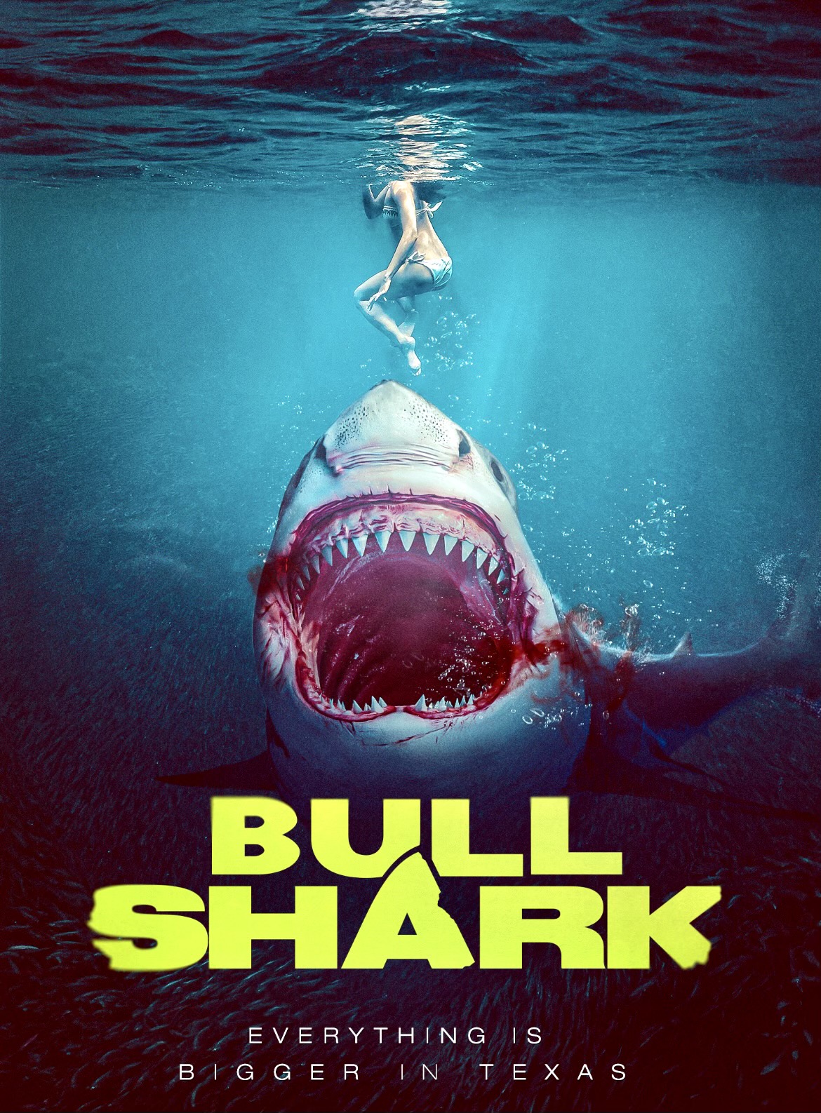 Read more about the article BullShark (2022)